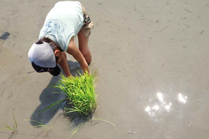 臼杵市野津町農泊＿体験＿農業