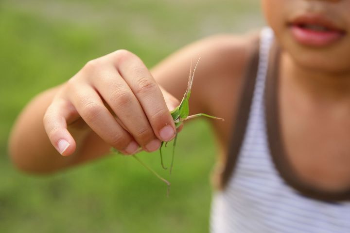 臼杵市野津町農泊＿体験