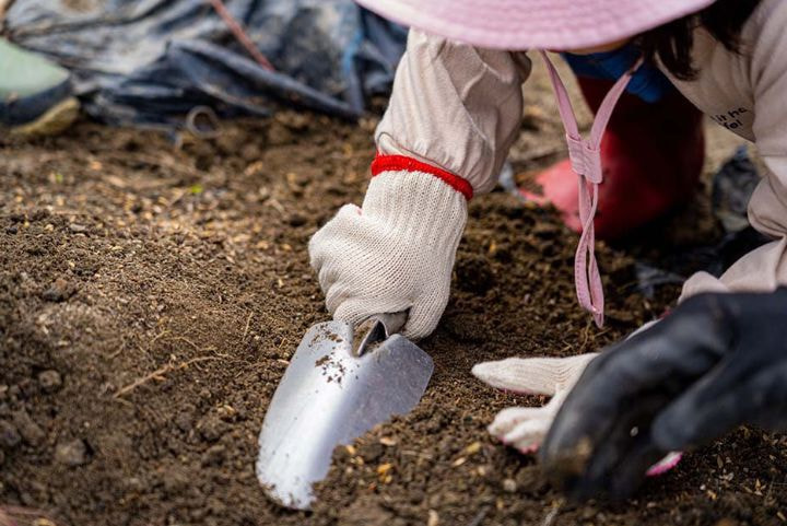 農業体験＿農泊
